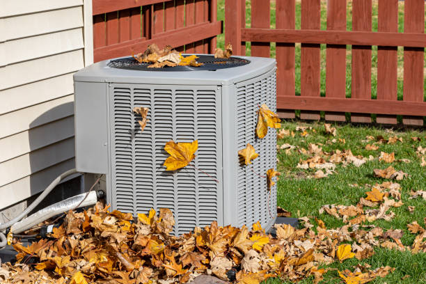 Best HVAC Air Duct Cleaning  in Willoughby, OH